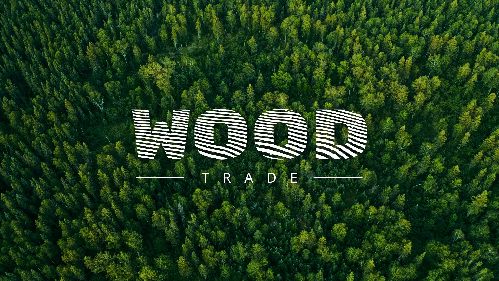 Разработка интернет-магазина компании «Wood Trade» в Томске
