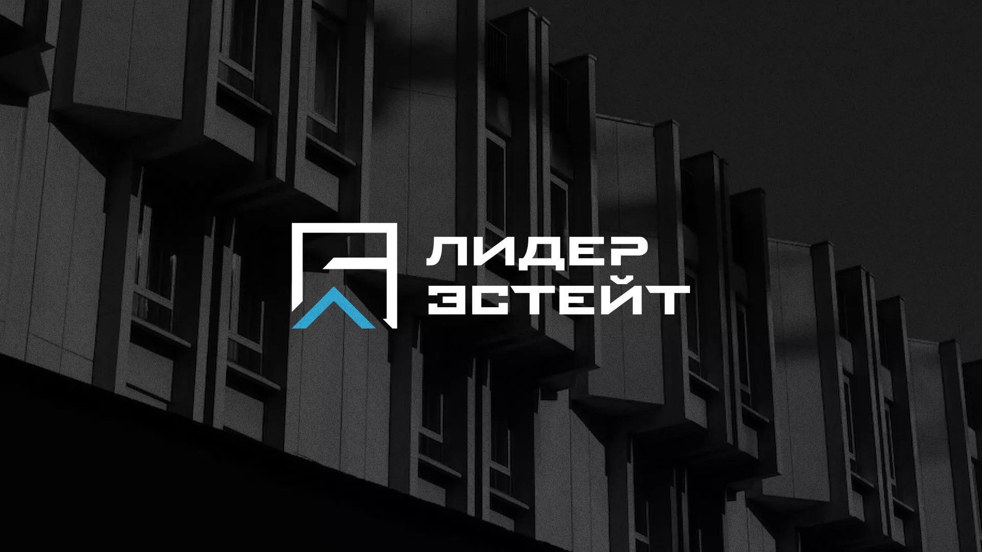 Разработка логотипа агентства недвижимости «Лидер Эстейт» в Томске