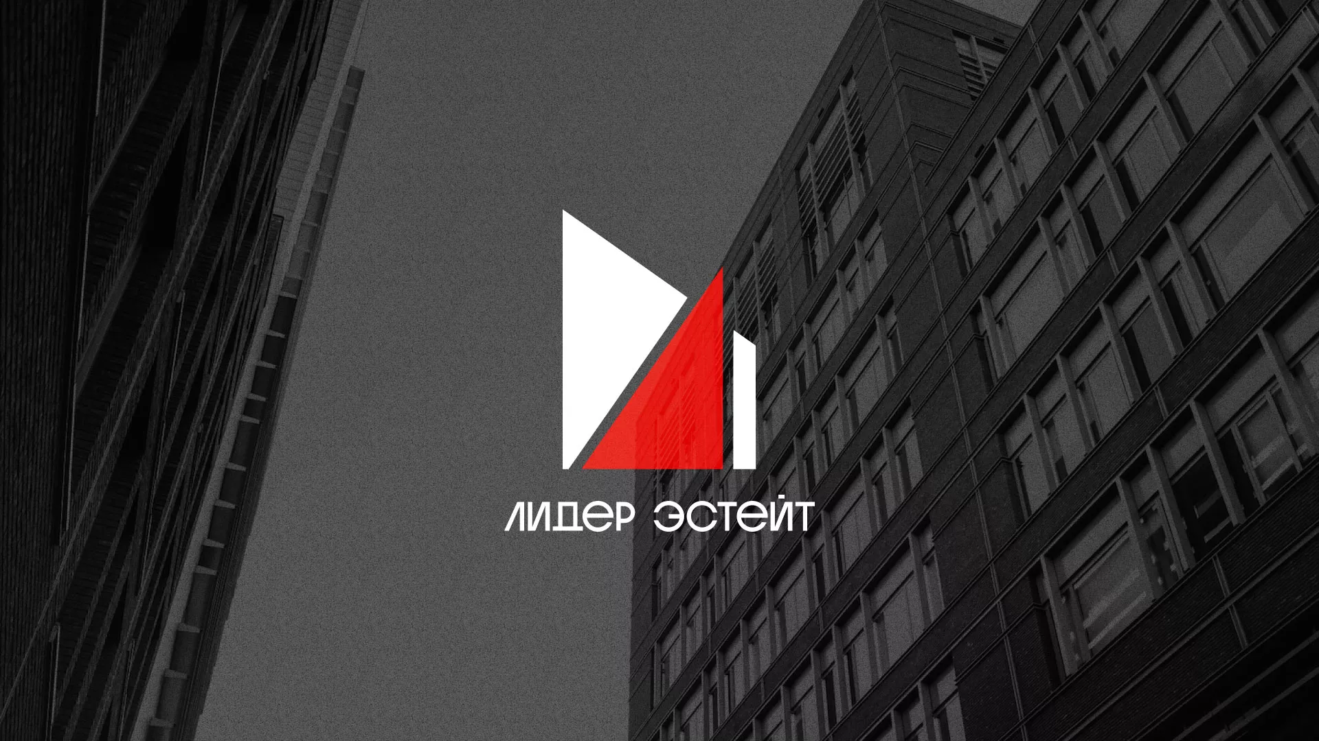 Сделали логотип для агентства недвижимости «Лидер Эстейт» в Томске